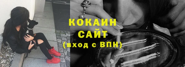 PSILOCYBIN Карпинск