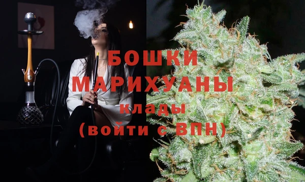 PSILOCYBIN Карпинск
