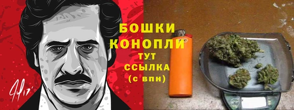 PSILOCYBIN Карпинск